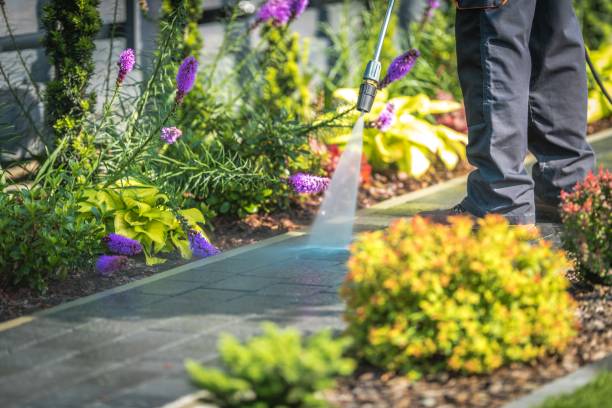 Kailua, HI Pressure Washing Services Company